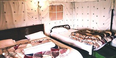 Pine pioneer the eco resort