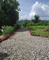 Pine pioneer the eco resort