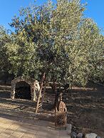 Casa Hostalets - In the Middle of the Olive Trees