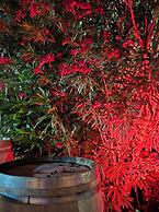 Les Loges du Luberon