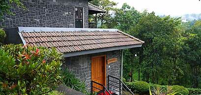 The Wild Trails Clarks Exotica Munnar