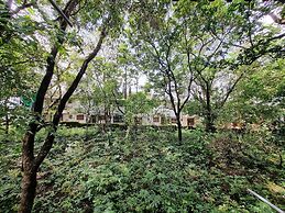 Sereno By Dancenter 1bhk Apartment In Siolim