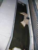 Blu Etna Casa Vacanze