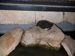 Blu Etna Casa Vacanze