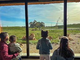 Le royaume des Lions