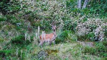 GUESTHOUSE HOALOHA 4 SEASONS