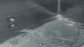 GUESTHOUSE HOALOHA 4 SEASONS