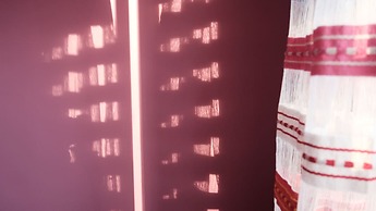 GUESTHOUSE HOALOHA 4 SEASONS