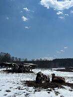 GUESTHOUSE HOALOHA 4 SEASONS