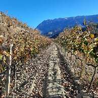 Pupa Winery Serene Stay