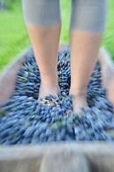 Pupa Winery Serene Stay