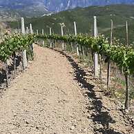 Pupa Winery Serene Stay