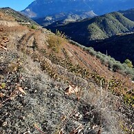 Pupa Winery Serene Stay