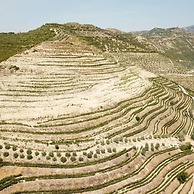 Pupa Winery Serene Stay