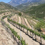 Pupa Winery Serene Stay