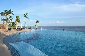 Tropical Executive Suit 1006