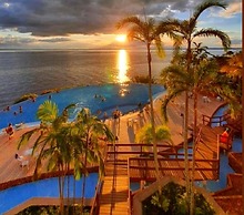 Tropical Executive Suit 1006