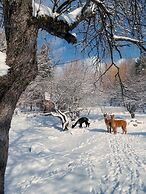 Relaxing Nature Retreat Perfect for Large Groups