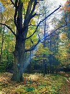 Relaxing Nature Retreat Perfect for Large Groups