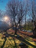 Relaxing Nature Retreat Perfect for Large Groups