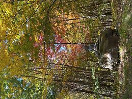 Relaxing Nature Retreat Perfect for Large Groups