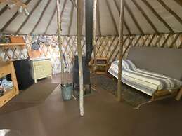 Relaxing Nature Retreat Perfect for Large Groups