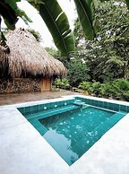 Colibri Parque Tayrona