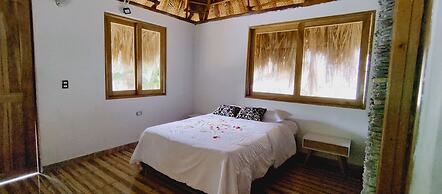 Colibri Parque Tayrona