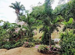 Colibri Parque Tayrona