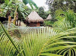 Colibri Parque Tayrona