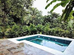 Colibri Parque Tayrona