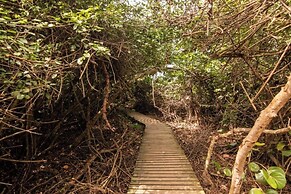 Colibri Parque Tayrona