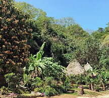 Colibri Parque Tayrona