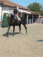 ESCUS HORSES