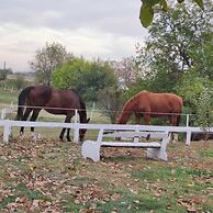 ESCUS HORSES