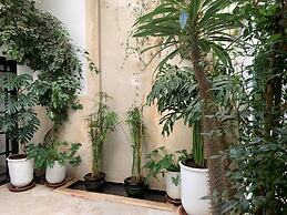 Petit Pacha Your ultimate escape