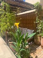 Petit Pacha Your ultimate escape