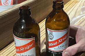 Oceanview Apt - Montego Bay, Ja, Pool, Bar, Beach