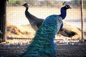 Plot19 Self catering