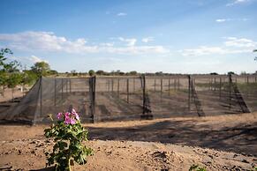 Plot19 Self catering