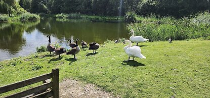 Willowbank Lodges