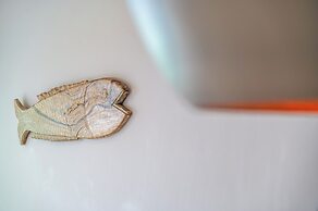 Anthis Villas Mykonos