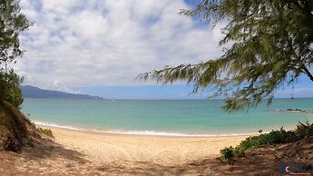 Hawaiian Dream Temple