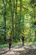 Samasati Rainforest Bungalows
