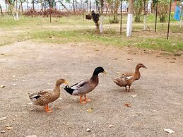 Estuarine Village Resort