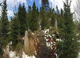 Apartment Near the Bavarian Forest