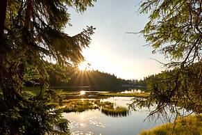 Apartment Near the Bavarian Forest