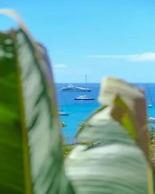 Turtle Point Bequia - 4 B R Villa w Staff