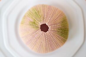 Dreamin Villa - 3 B R Beachfront w Staff