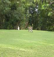 Paradise BDS - 3 B R Golf Villa at Rwml